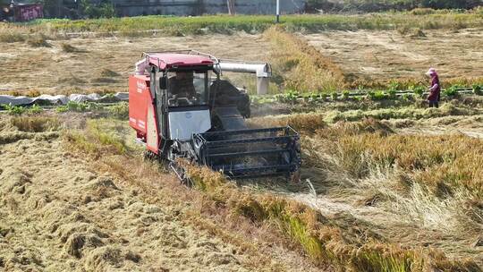 航拍农村田野收割小麦收割机运输