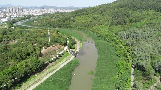 坪地湿地公园2视频素材模板下载