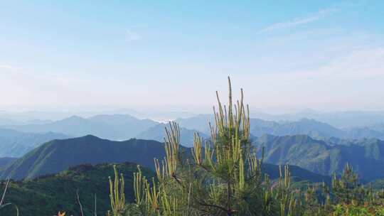 杭州临安大明山牵牛岗群山风景