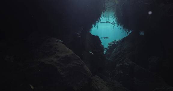 深海湖泊潜水水下水底拍摄