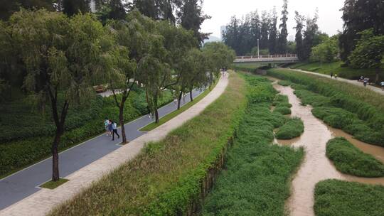 西丽大学城 南方科技大学