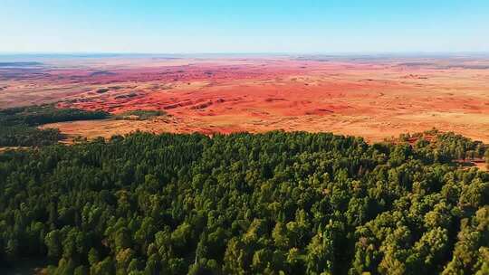 森林与红色荒漠鸟瞰全景
