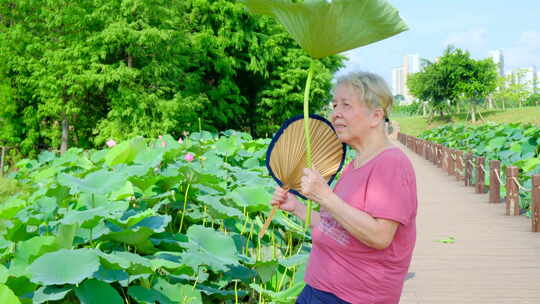 老奶奶夏天池塘边乘凉