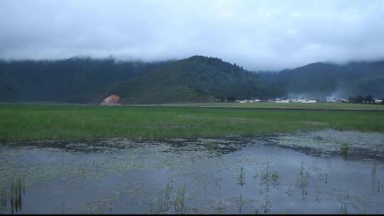 村庄流水清澈河水草地风景优美高清背景素材