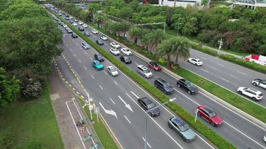 深圳人才公园-沙河西路城市车流