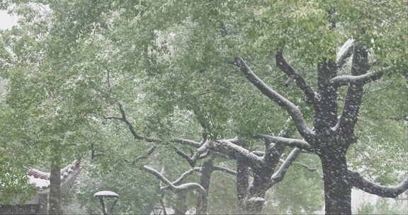 湖南长沙杜甫江阁雪景