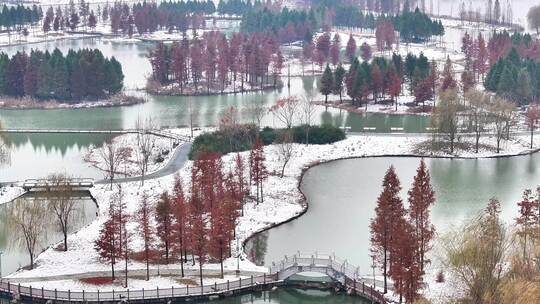 航拍湿地公园雪景树林湖岛木屋鸟类杉树木