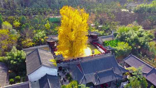 航拍古观音禅寺视频素材模板下载