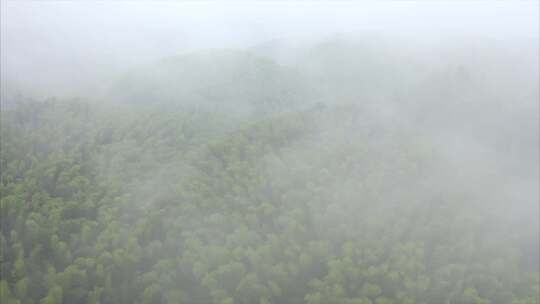 航拍大雾中的蜀南竹海风景