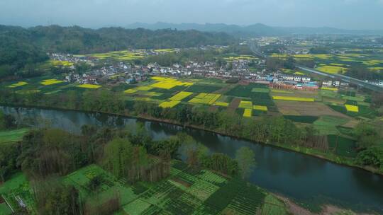 春天乡村航拍风景油菜花田和村庄