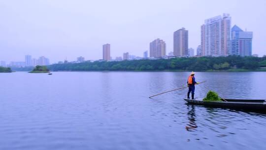 南湖公园水上清洁船只与城市建筑景观