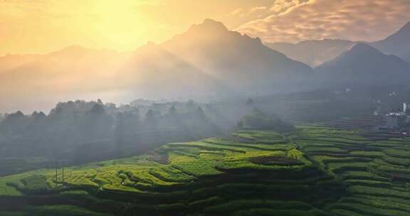 山间 大山 阳光 清晨 晨雾 梯田