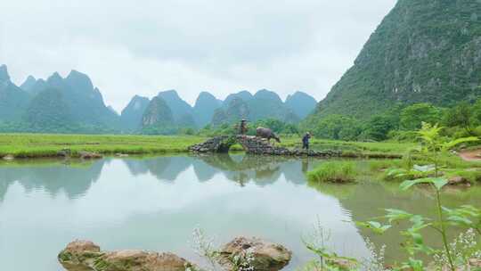 桂林山水美丽乡村田园农民劳动情景