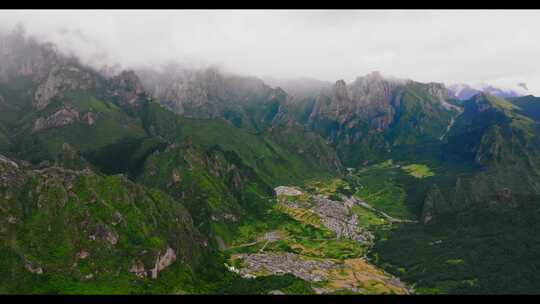 山川云雾 高山 森林植被