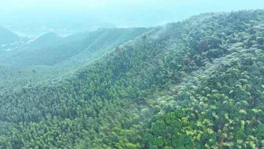 蔡伦竹海旅游风景区