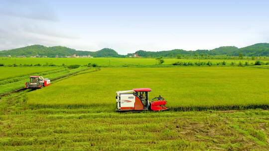 农民驾驶收割机收割水稻