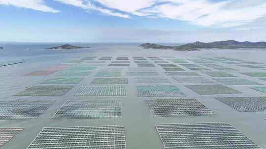 海上养殖 海洋牧场 海上生态视频素材模板下载