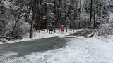 冬季海螺沟冰川森林公园雪景雾凇旅行航拍高清在线视频素材下载