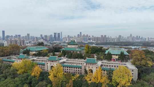 武汉大学的秋天