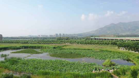 航拍官厅水库湿地公园