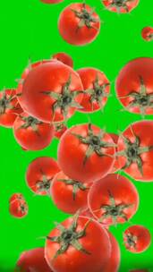 西红柿绿幕素材