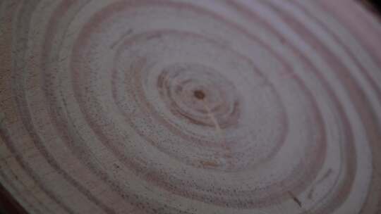 木头 木纹 木头纹理 年轮