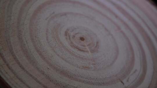 木头 木纹 木头纹理 年轮