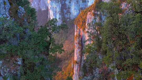 湖北恩施大峡谷旅游风景区岩石与岩石上的树