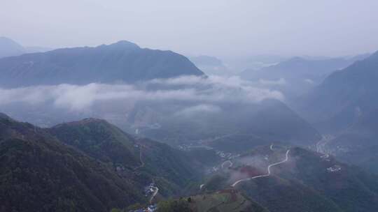 镇安海棠山