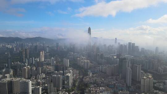 深圳 深圳城市 城市建筑群