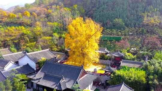 航拍古观音禅寺