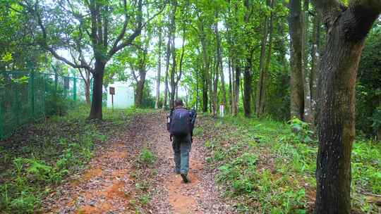 无人机自动跟随航拍深圳塘朗山郊野公园徒步