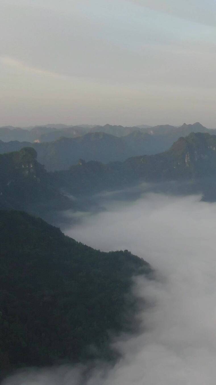 航拍清晨山谷云海云雾竖屏