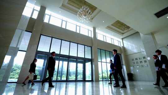 企业宣传接待商务人士谈判握手合作达成