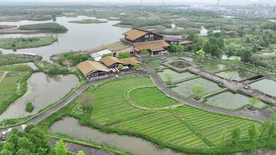 杭州湾湿地公园马拉松