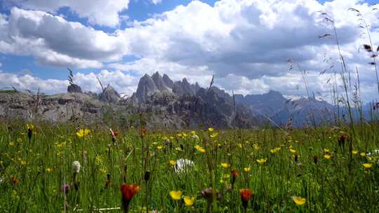 国家自然公园Tre Cime在白云石阿尔卑斯山