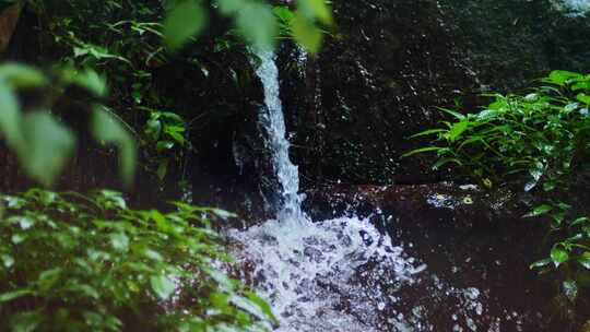 山涧清泉流水纯净山泉水