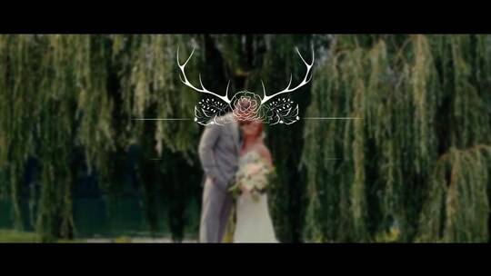 浪漫唯美标题婚礼宣传片AE模板AE视频素材教程下载