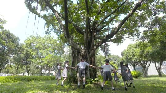 植树节学生围着参天大树转圈茁壮成长向未来视频素材模板下载