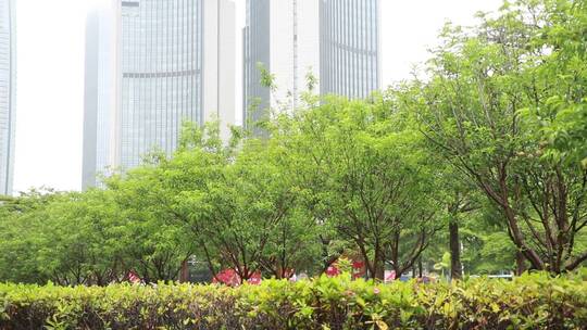 雨后的城市公园