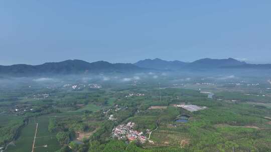 海南白沙茶园清晨平流雾航拍