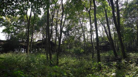 杭州玉皇山景区吴越郊坛遗址