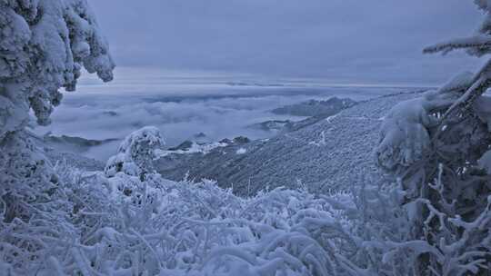 杭州牵牛岗群山森林雪景云海延时