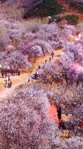 地标建筑航拍，领略一下日新月异的家乡