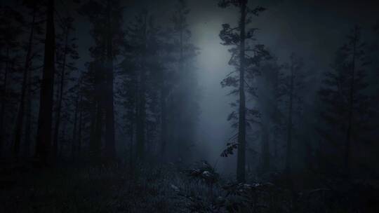 夜晚的迷雾森林