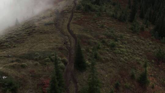 航拍云雾缭绕的山林景观视频素材模板下载