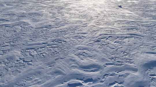 呼伦贝尔草原冬季风吹雪