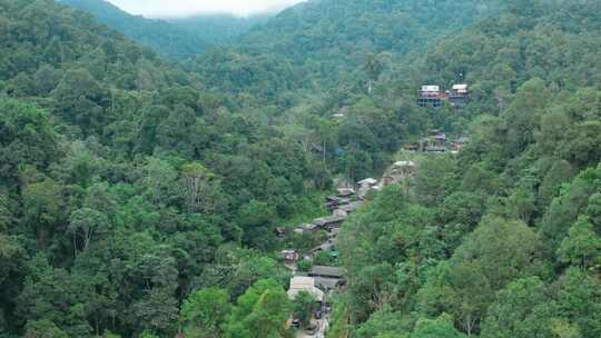 泰国清迈省的Mae Kampong山村