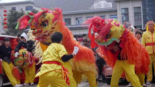 节日舞狮庆祝狮舞