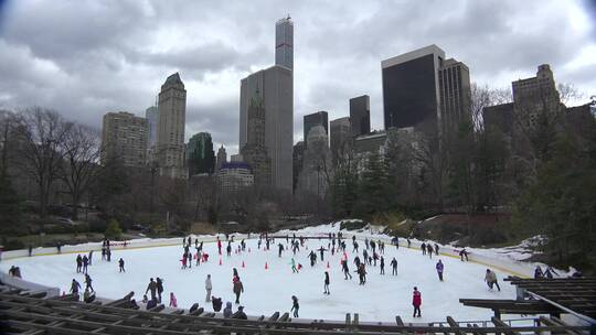 中央公园的溜冰者